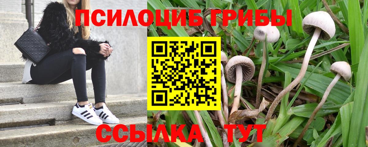 Псилоцибиновые грибы мухоморы  Вход с VPN  что такое наркотик  Сердобск 